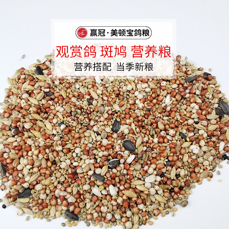 美顿宝观赏鸽无玉米无豌豆50斤短嘴鸽粮饲料幼种鸽鸟食斑鸠粮营养