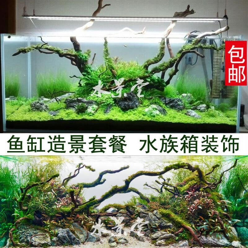 鱼缸造景套餐 杜鹃根水草 沉木 小水榕化妆沙MOSS莫斯绿宫廷鱼缸