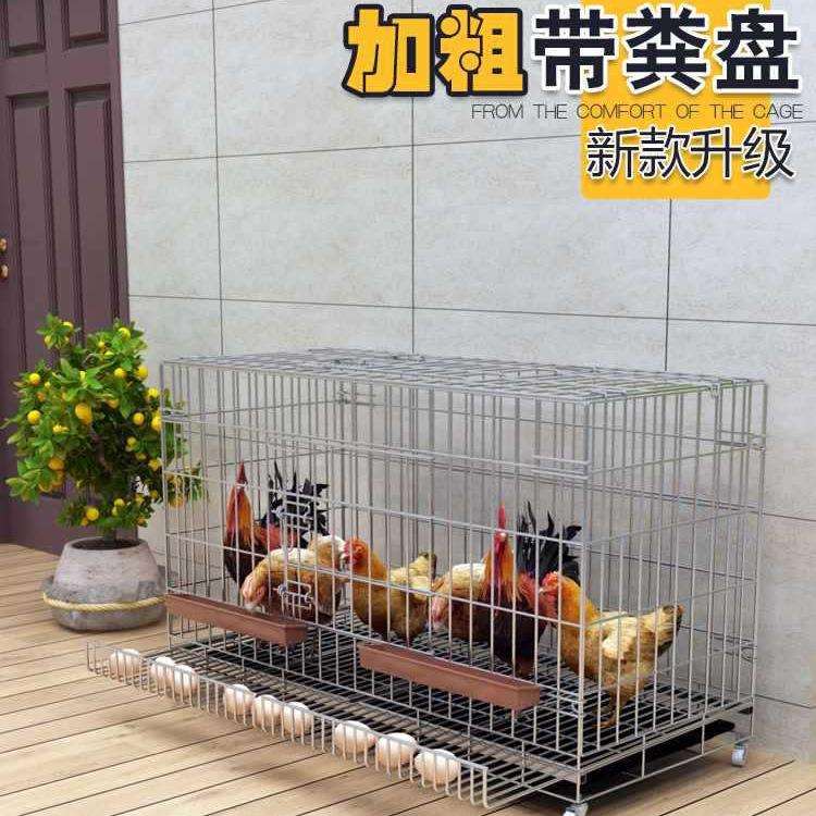 鸡笼子养鸡笼家用大号特大号自动清粪折叠养殖笼鸡舍铁丝网鸭鹅笼