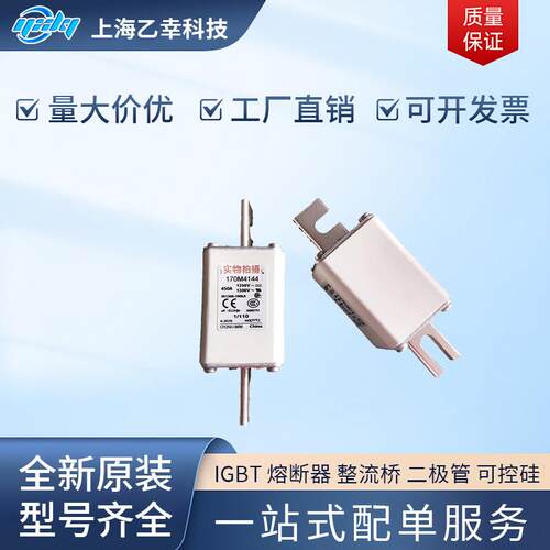 巴斯曼熔断器 170M4242 170M4243 170M4244 170M4245 170M4246