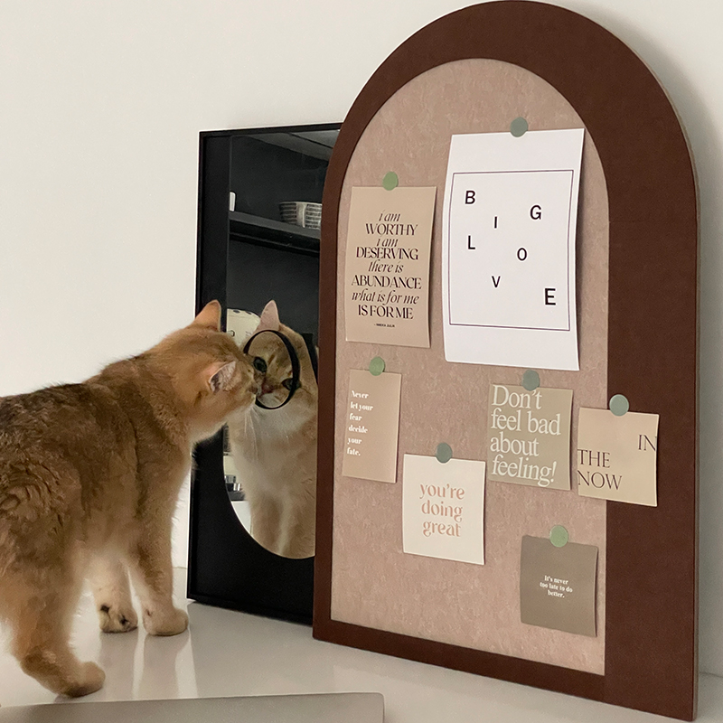 桌面拱门造型毛毡板立体墙贴照片墙背景板免打孔软木板挂墙展示板