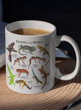 Geckos of the World 世界壁虎创意白色马克杯陶瓷咖啡杯子
