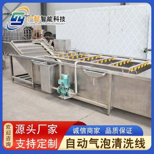 大枣枸杞果蔬气泡清洗机韭菜高压喷淋洗菜机净菜加工成套设备