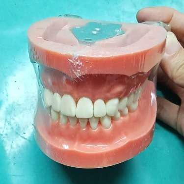 可拆卸备牙模型 牙齿模型牙齿练习模型32颗备牙模型 可替换牙粒