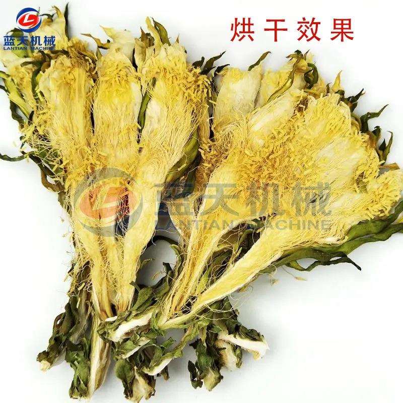 蓝天霸王花烘干机 智能控温剑花量天尺烘干箱 霸王鞭烘干设备小型