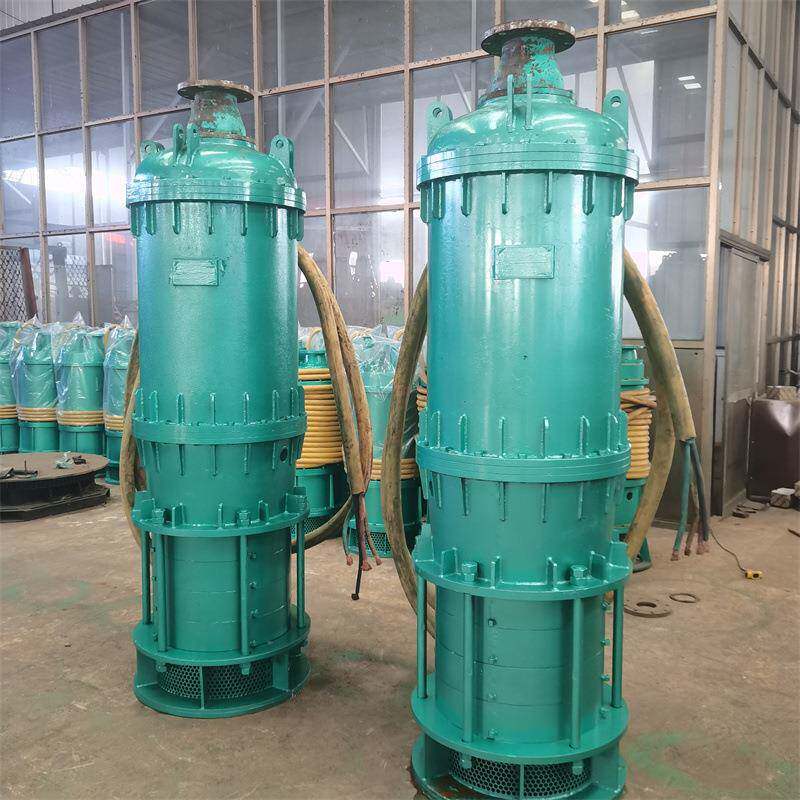 防爆潜水排沙泵 BQS170-50-45KW矿用隔爆型潜水排沙电泵660v1140V