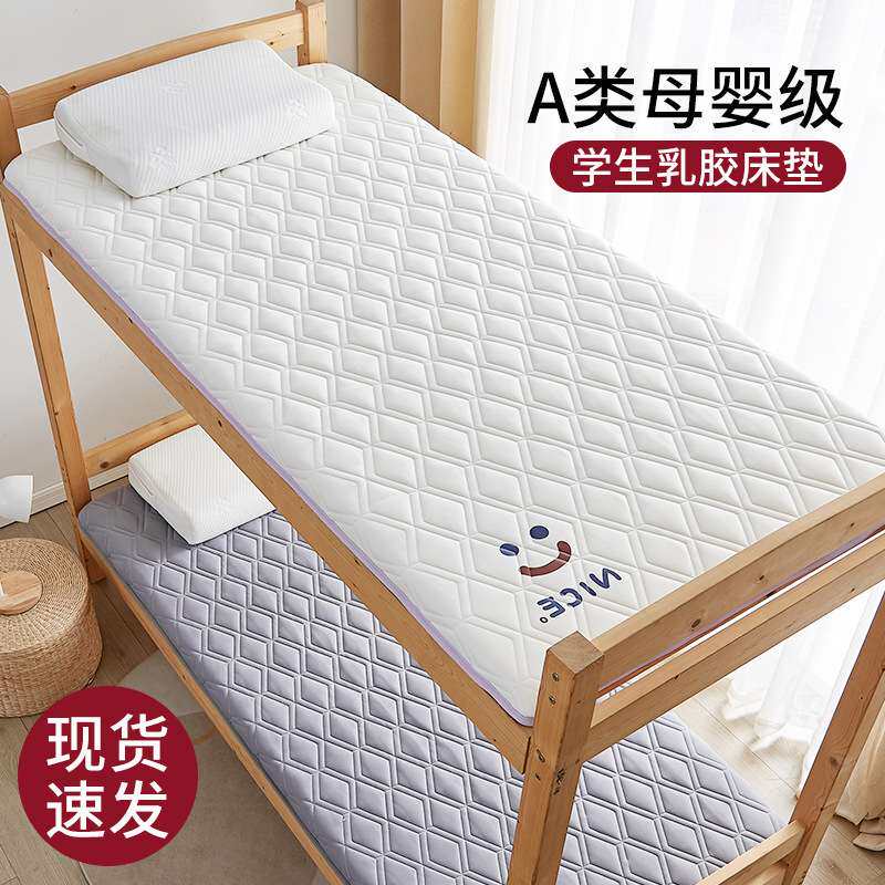 床垫卧室软垫单人乳胶垫子租房专用床褥垫被90x190cm冬季加厚床垫