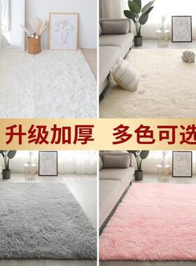 间地毯毯卧室北欧is客厅sm25425茶几床边少女房床n边毯网红毛地垫