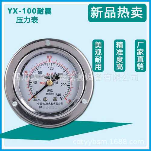 厂家 红旗真空电接点压力表电接点压力表YX100