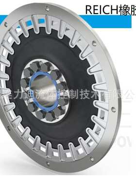 德国reich kupplungen 联轴器测试台架轴 AC-T7ATNN现货库存