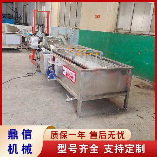 不锈钢红樱桃加工气泡清洗机包菜气泡清洗设备青菜清洗线鼎信