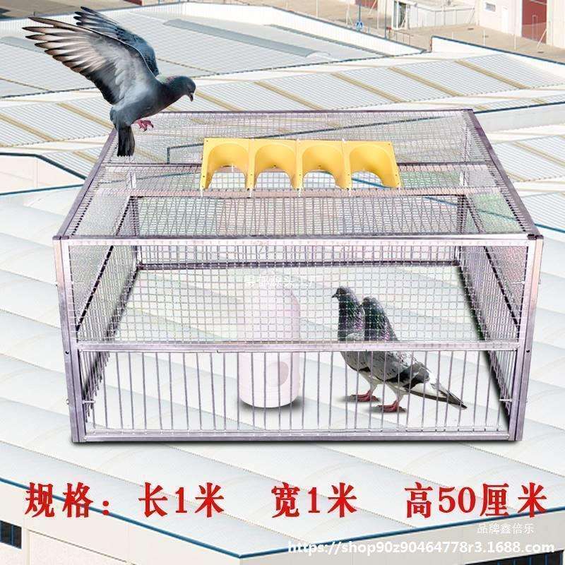 鸽神器抓鸽子笼全自动自动跳门撞门笼鸽子用具