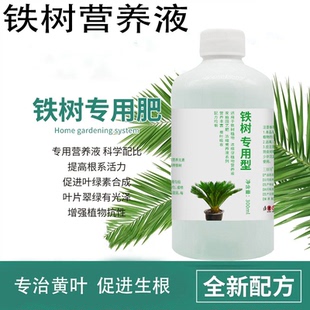 2026铁树专用型营养液防黄叶促生长叶面肥盆景盆栽植物复合肥CJ