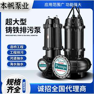 11KW排污泵污水处理厂和工厂专用污水提升11KW水泵