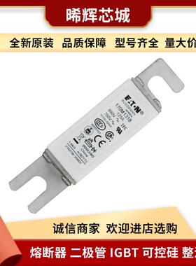 170M1318170M1319170M1320直流快速熔断器型号齐全量大从优