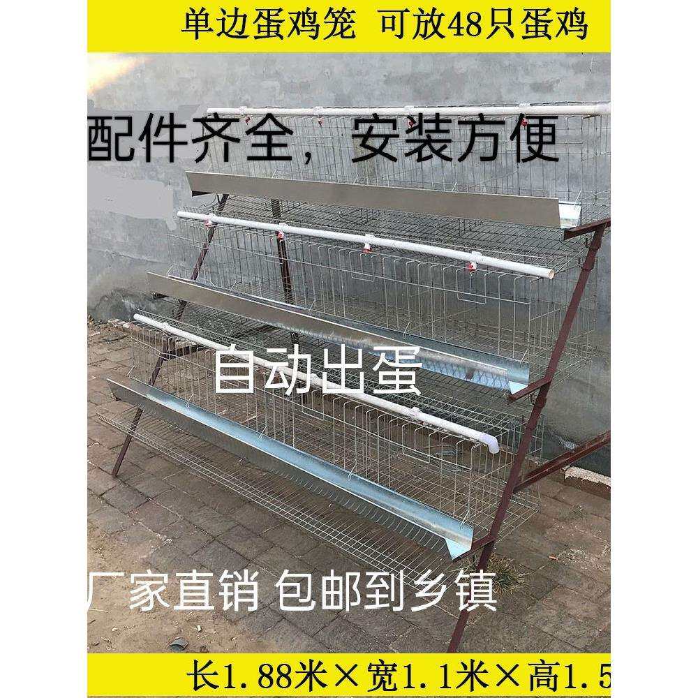 家用蛋鸡笼阳台养鸡笼自动出蛋鸡笼小号养殖家用蛋托收蛋折叠鸡笼