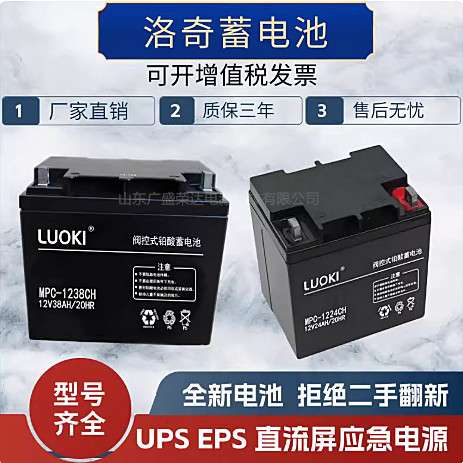 LUOKI洛奇蓄电池MPC12V100 17 24 38 40 65 120AH机房直流屏专用