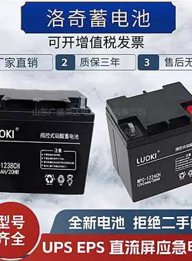LUOKI洛奇蓄电池MPC12V100 17 24 38 40 65 120AH机房直流屏专用