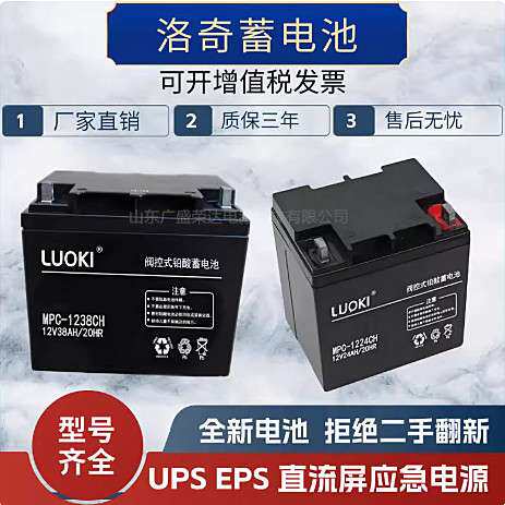 LUOKI洛奇蓄电池MPC12V100 17 24 38 40 65 120AH机房直流屏专用