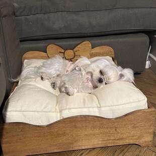 狗床蝴蝶结实木窝防潮西施马尔济斯小体犬可爱约克夏茶杯狗窝