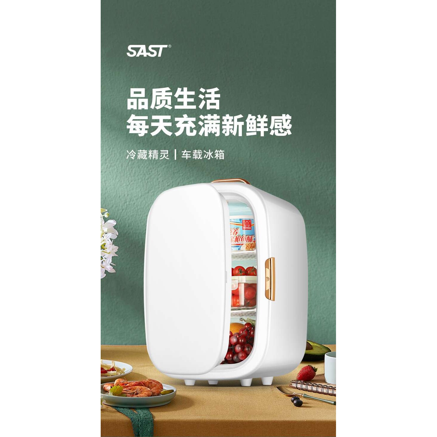 20L车载迷你小型冰箱车家俩用母乳出租房学生寝室宿舍办公