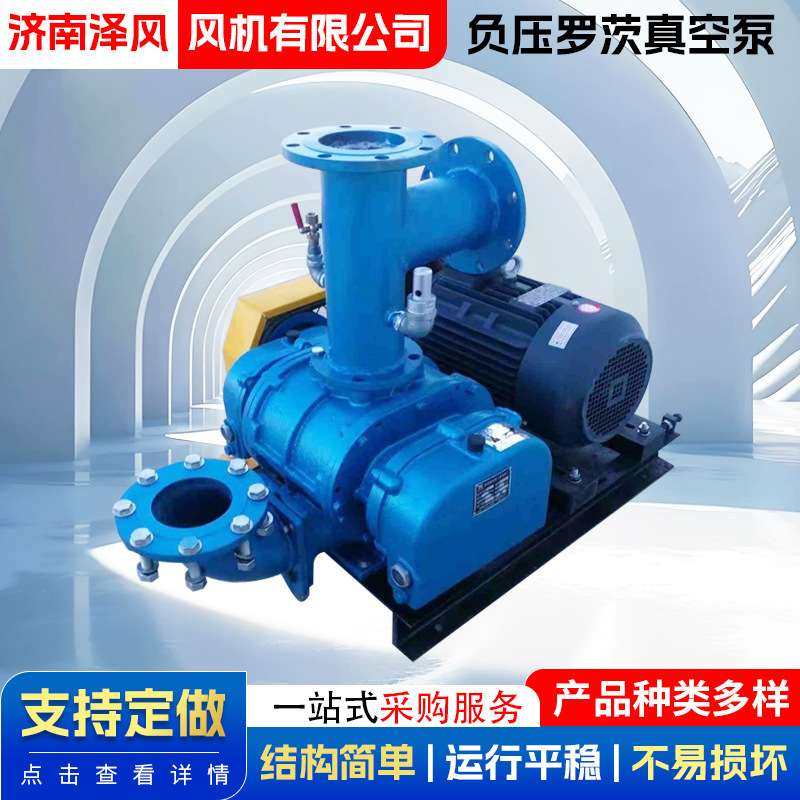 电动抽气真空泵罗茨鼓风机精密大吸力低噪音负压罗茨真空泵,电子元器件市场,其它元器件,淘宝优惠券,粉丝福利购,淘宝优惠卷