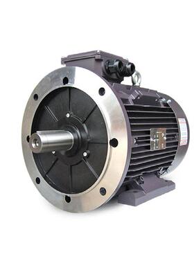 特波出口铝壳电机YE4/IE4二级能效欧盟CE/UL/EAC认证TA801-4P