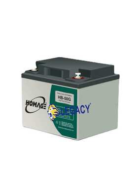 HOMAGE蓄电池12V95AH 12V80AH 12V70AH 12V65AH 12V40AH价格优惠