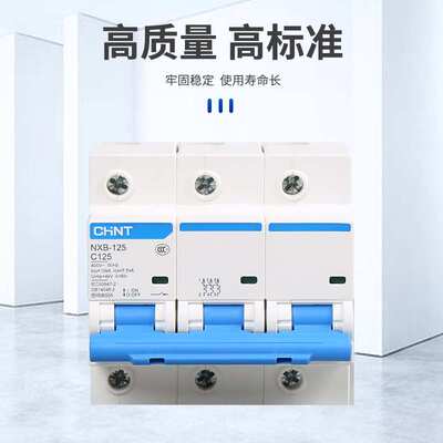 NXB-125系列小型断路器