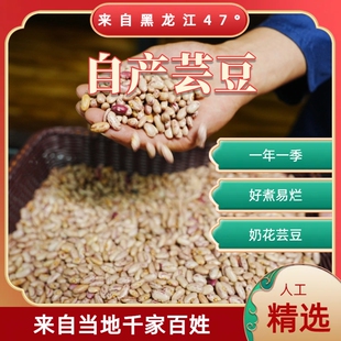 东北[芸豆]之乡黑龙江省拜泉县百姓农家自种五谷杂粮