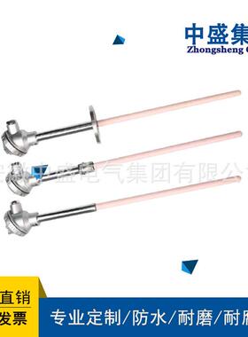 铂热电阻WZPN2-210PT100L=2500DN25长度1200mm