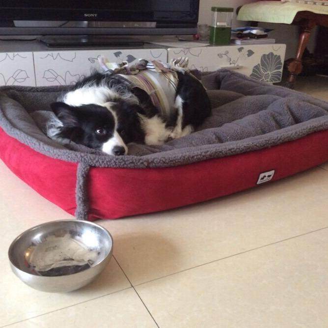 厂家高档外贸出口宠物狗窝可拆洗大狗垫大狗窝金毛大狗垫狗窝,电子元器件市场,其它元器件,淘宝优惠券,粉丝福利购,淘宝优惠卷