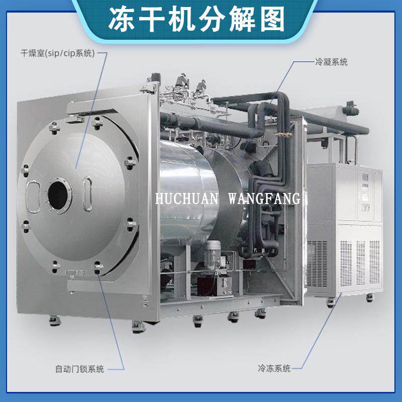 出口级冻干水蜜桃片玉米粒冷冻干燥机 蔬菜洋葱丁真空冻干机