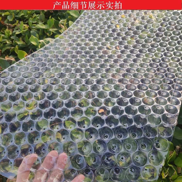 手抛水稻抛秧苗育苗加厚免揭塑料透明434孔353孔561农用秧盆秧盘