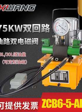 ZCB6-5-ABS2双回路0.75kw电动液压泵超高压油泵小型液压泵站