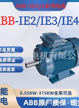 M2QA132M6B-J5-5.5KWABB户外防水无风叶风罩密封式电机