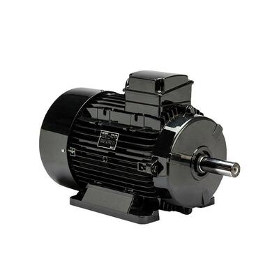 巴西WEG拉斐特LAFERT拉莫斯LAMMERSHOyER霍尔三相异步交流电动机