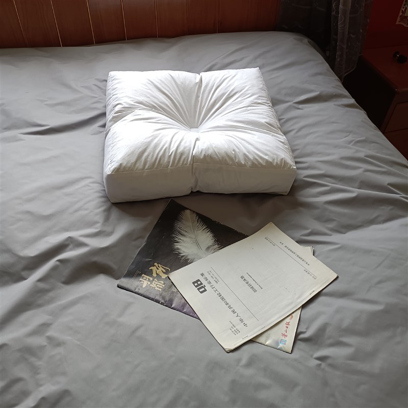 枕头枕芯定制家用出口酒店民宿羽绒枕芯枕头抱枕芯靠垫白鸭绒