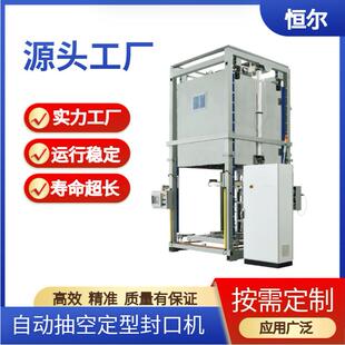 磷酸铁锂纳电正负极铝箔铝塑PE吨袋自动抽真空上箱式封口机