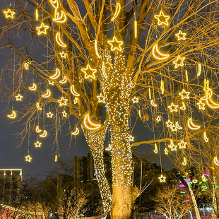挂树的装饰灯户外防水树木亮化五角星月亮挂树灯藤球灯雪花套装