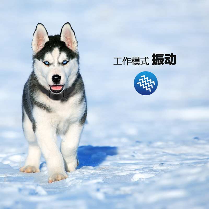 振动止吠器宠物项圈止吠项圈自动止吠器中小型犬适用防狗叫止吠器