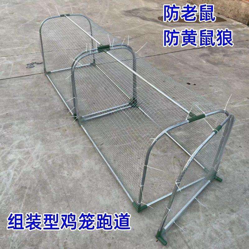 养鸡鸡笼溜达户外笼子农场网农家走鸡笼子庭院跑道地铁隧道用散养