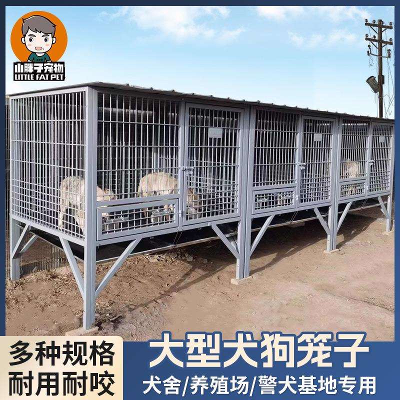 小胖子狗笼霸王笼养殖户外獒运狗舍冲水托盘大型犬舍繁育种公室内