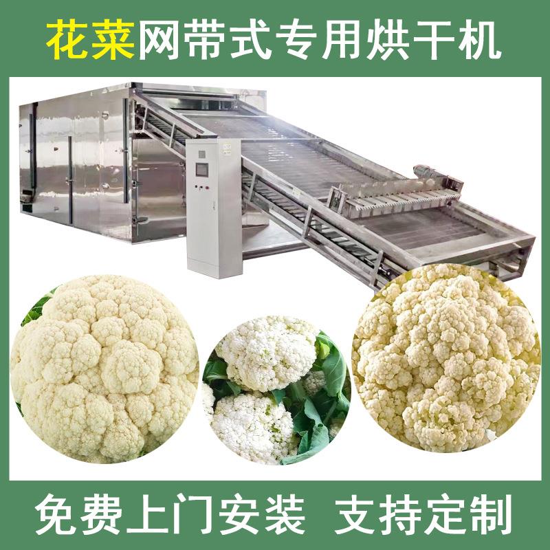 花菜烘干机连续式菜花椰菜花蔬菜脱水风干机大型青梗花菜干燥机