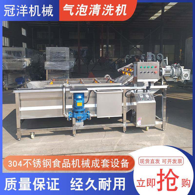 大型商用果蔬气泡清洗机葡萄干山野菜清洗设备桑葚黄桃清洗线