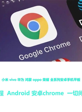 远程Google谷歌浏览器离线安装包Chrome浏览器官方正版华为小米