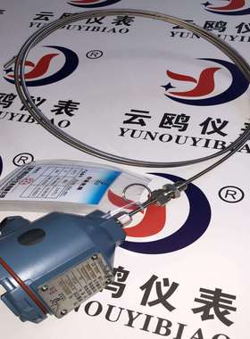 WZPK-533/WZPK2-566/WZPK2-535SA铠装热电阻酒罐设备测量温度