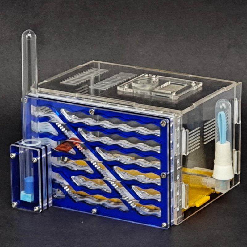 亚克力蚂蚁城堡工坊宠物蚂蚁巢蚂蚁家园部落蚁窝,玩具/童车/益智/积木/模型,毛绒/玩偶/公仔/布艺类玩具,淘宝优惠券,粉丝福利购,淘宝优惠卷