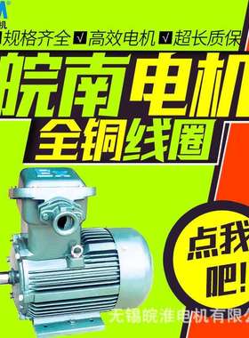 皖南电机YFB粉尘防爆三相异步电动机200kw0.75kw1.5kw2.2kw4kw