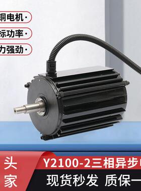 交流电机耐高温电机Y2100-2220v非标全铜线电机三相异步电动机批